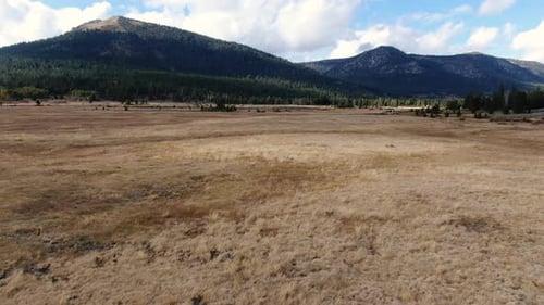 Drone filmé à l'horizon d'un paysage montagnard, entouré d'une forêt de pins et d'une rivière