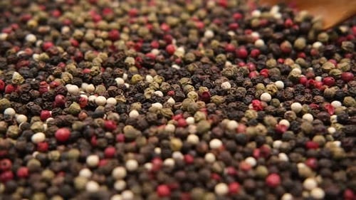 Wooden Spoon scooping Colorful Mixed Peppercorns