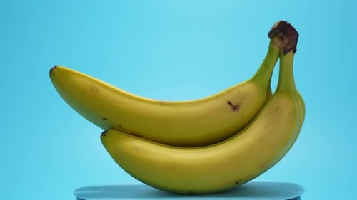 Ripe Bananas Spinning on Blue Background