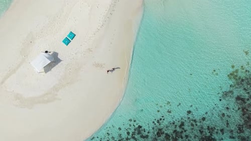 Aerial View of a Private Island in the Maldives Featuring Turquoise Waters and White Sand Beaches
