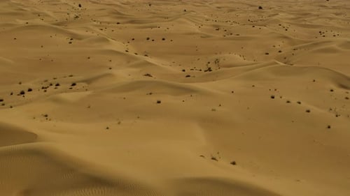 Aerial view of desert with golden sand dunes, United Arab Emirates.