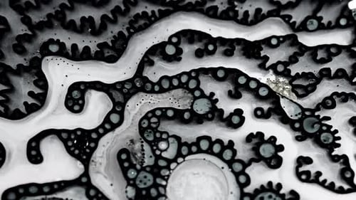 close-up of black and white fluid patterns as liquids mix together