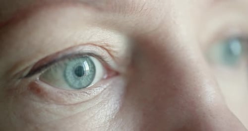 Close Up Macro Shallow Depth of Field Shot of Human Female Eye