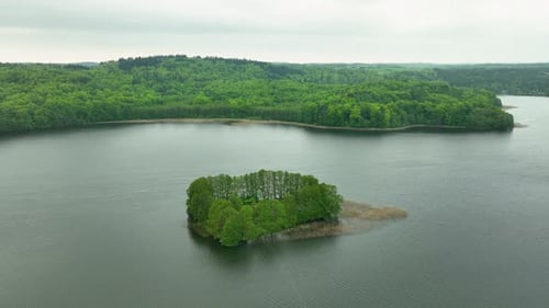 An aerial view of a small island covered with dense green trees in the middle of a lake, surrounded