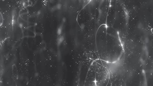 Black White Particles Trails Loop