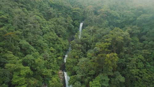 Dense forest with a series of waterfalls cascading into a river in Costa Rica