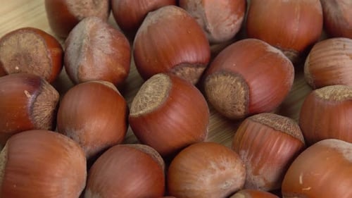 Haselnüsse in Muscheln rotieren in Nahaufnahme auf einem hölzernen Hintergrund. Ganze und geschälte Bio-Haselnüsse