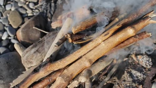 Small Beach Bonfire of Twigs Smoking Gently