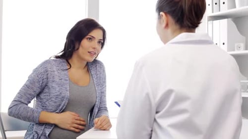 Pregnant Woman Consulting with Doctor in Bright Office