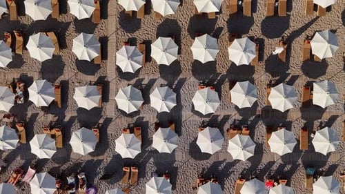 Top View of Beach Umbrellas and Sunbeds on Sandy Shore