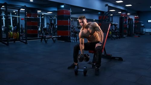Bodybuilder working out with dumbbell. Young muscular man doing hard exercise with dumbbells
