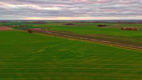 Luftaufnahme, Flug über grüne ländliche, landwirtschaftliche Ackerfelder, Landschaft, Panoramablick, Tageslicht, Himmel