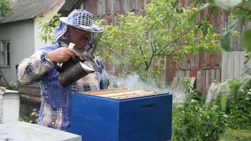 P435. Der Imker untersucht sorgfältig den mit Bienen und Honig gefüllten Rahmen
.