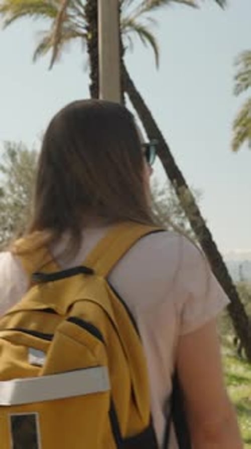 Vertical video. A young and solitary female traveler walking along a long road between palm trees.