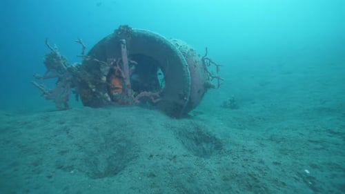 Abandoned Wheel Tire on Sandy Bottom of Turquoise Ocean