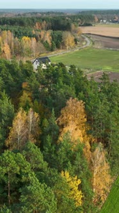 Aerial View Of Modern House With Solar Panels In Autumn Forest