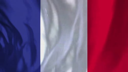 Realistic Waving French Flag Vertical Video Loop