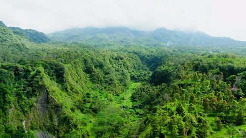 Aerial view from top of green forest landscape