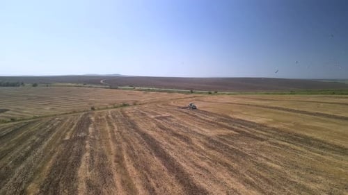 Tractor working on the field doing tillage with cultivator