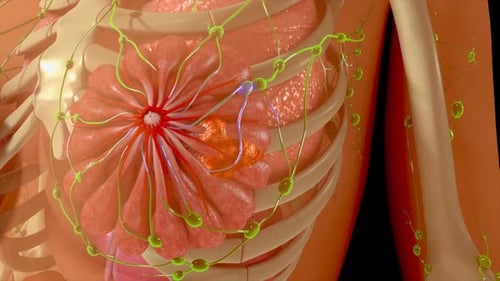 Anatomy of human breast cancer cells