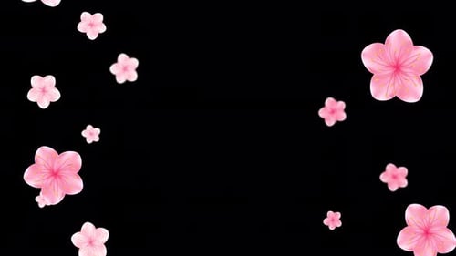 Spring Flowers | 4K Alpha