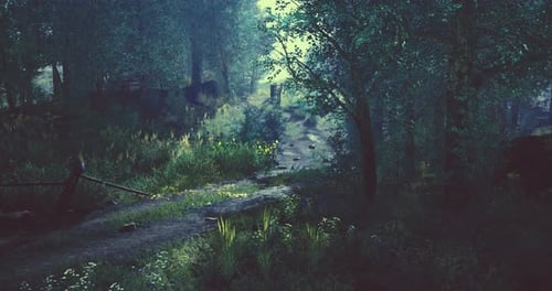 A Winding Path Moves Through a Serene Forest Bordered By Lush Greenery
