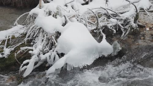 Snow-Covered Ground and Flowing Stream in a Calm Winter Forest