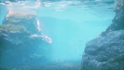 An Underwater View of a Coral Reef with a Boat in the Background