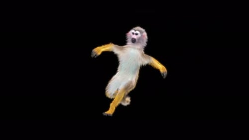 Dancing Squirrel Monkey 3D Animation With Alpha Channel