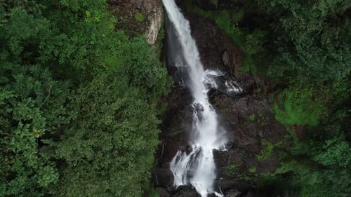 High Waterfall and Forest – Majestic Wilderness Scene