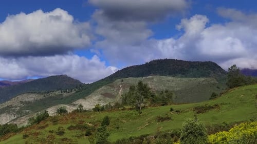 Timelapse Capturing Mountains and Green Summer Forest Under Blue Sky with Moving Clouds in Timelapse