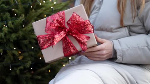 Woman Holds Christmas Gift Near Decorated Tree