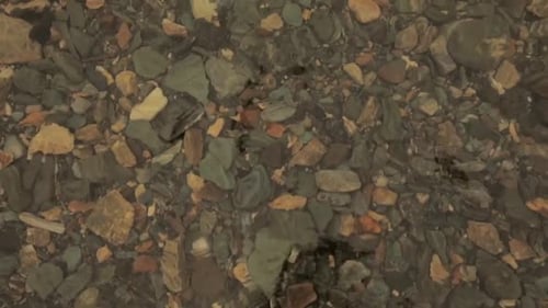 Clear Water Flowing over Rocks in Riverbed