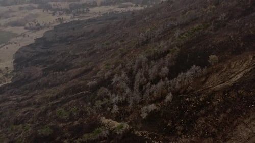 Effect of climate changes on hills after a fire left land destroyed