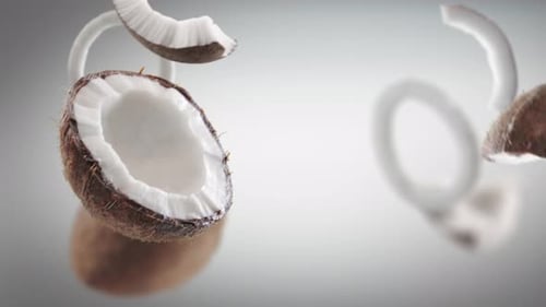 Flying Coconut and Coconuts Slices in Grey Background