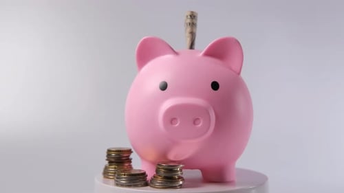 Piggy Bank Surrounded By Coins and Banknotes