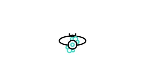Rakhi Animated Icon