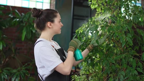 Running of Own Business Young Woman Florist with Spray Bottle Watering Fertilizing Plants in