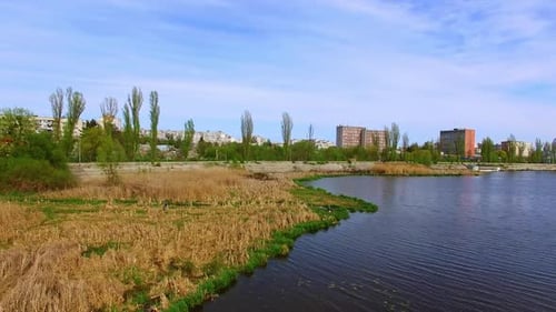 Dry reed growing on the river bank. City view with high-rise multi-storied buildings at backdrop.