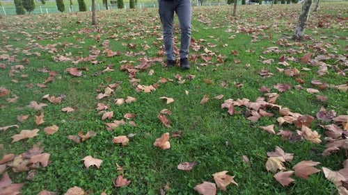 Person Walking on Leaves in Park During Autumn