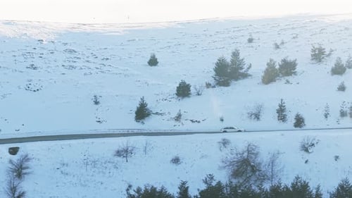Serene Snowy Landscape With Pine Trees Peaceful Snowcovered Ridge With Scattered Pines And Icy