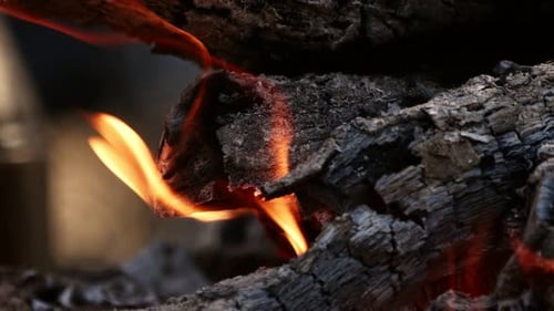 Feuerflammen aus Eichenholz zum Grillen 2