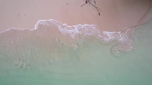 Pink beach on tropical beach