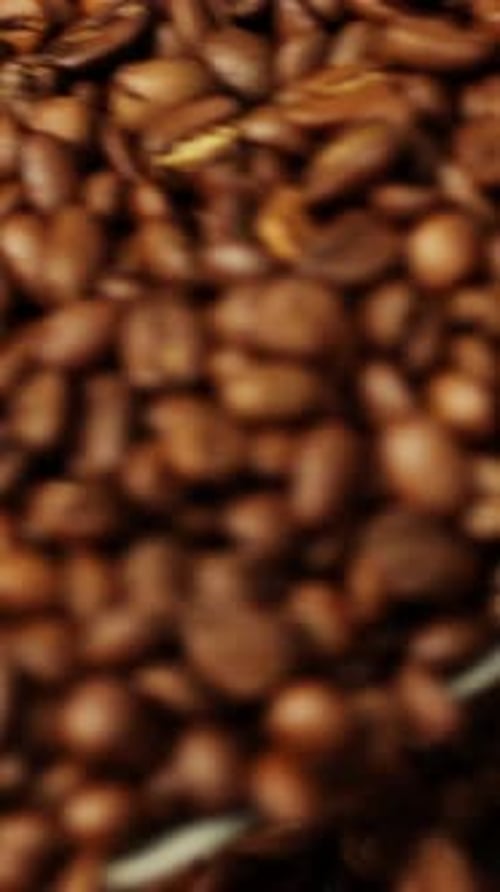 Pouring Freshly Roasted Coffee Beans Close Up