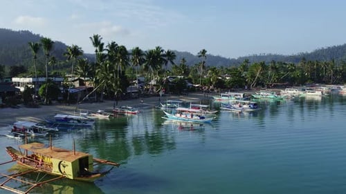 Fishing Boats at Sunrise Near the Shore with Palm Trees