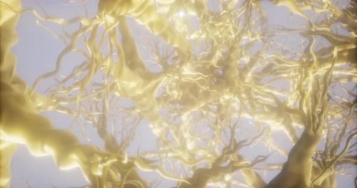 Exploration of a Mesmerizing Network of Neurons Illuminated with Golden Hues