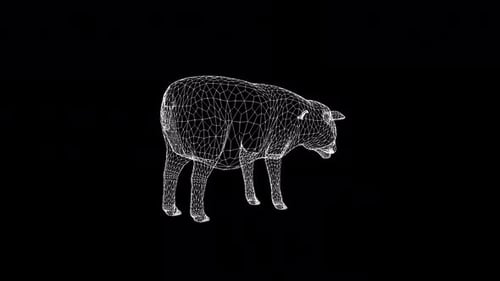 Rotating Wireframe Sheep 3D Model Animation