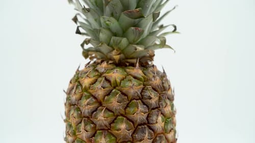 Rotating pineapple close up on white background isolated 4K