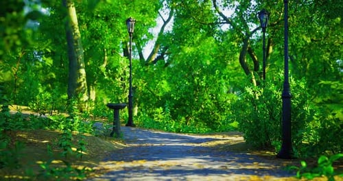 Lush Green Park Path Fly-Through Animation