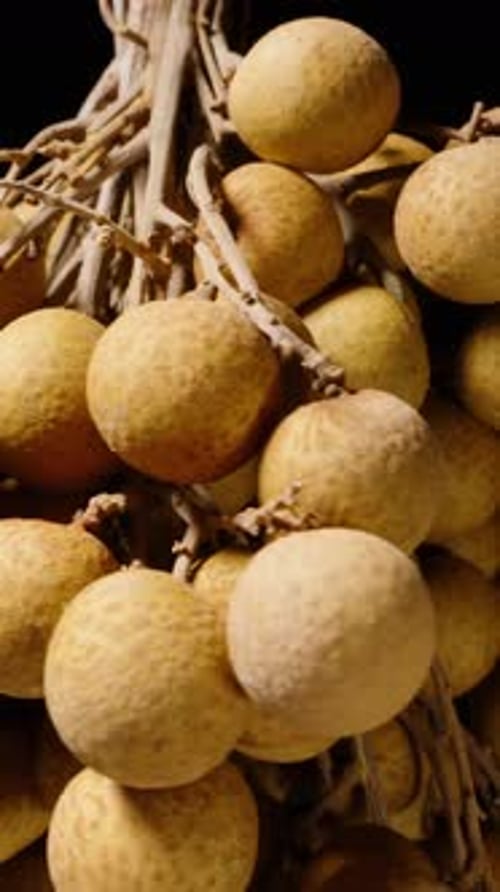 Vertical video. Bunch of Ripe Longan Slowly Rotating in Continuous Loop from Multiple Angles Against